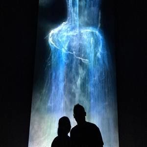 Meet your Posher, King